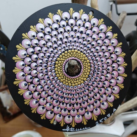 Aurora  - Hand painted CD disc r crafts cd