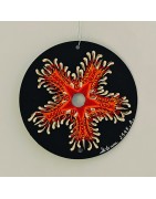 Asteride - Hand painted CD decoration disc r crafts cd