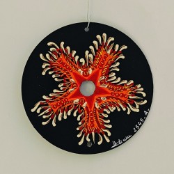 Asteride - Hand painted CD decoration disc r crafts cd