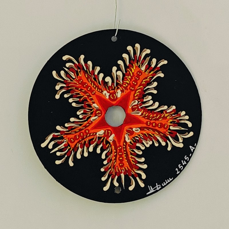 Asteride - CD peint à la main décoration disque r crafts cd