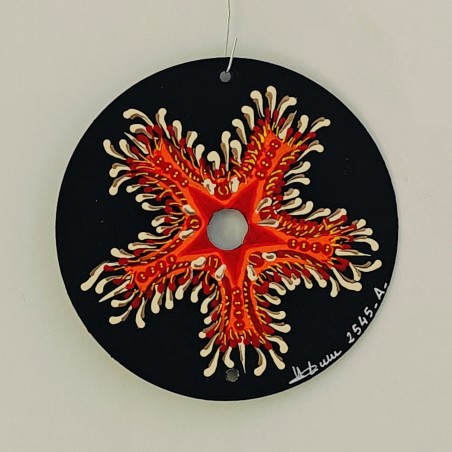Asteride - Hand painted CD decoration disc r crafts cd