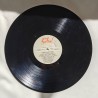 Solstice d'Ambre vinyle 33t - côté non peint - peut être écouté avec un tourne-disque
