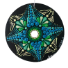 Mohani - Hand-painted recycled CD – unique artistic creation