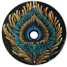 Zéphi - Hand-painted recycled CD – unique artistic creation