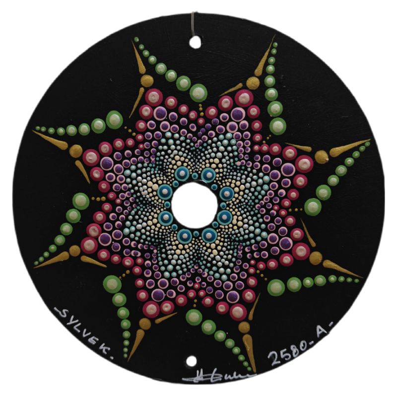 Sylvek - Hand-painted recycled CD – unique artistic creation